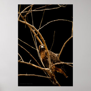 Goldene Print Poster