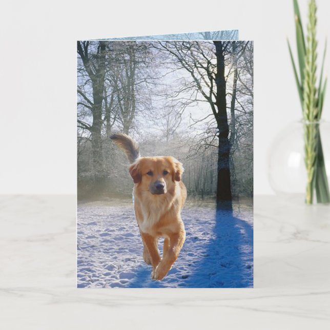 Goldene Retriever-Beileid-Karte Karte (Vorderseite)