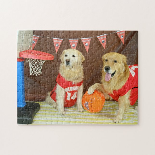 Goldene Retriever, die Basketball spielen (Horizontal)
