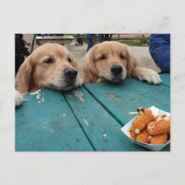 Goldene Retriever Geburtstagswünsche Postkarte