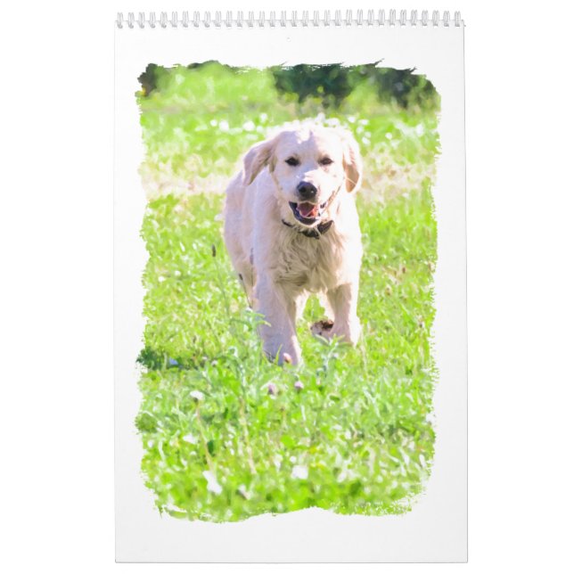 Goldene Retriever Kalender (Titelbild)