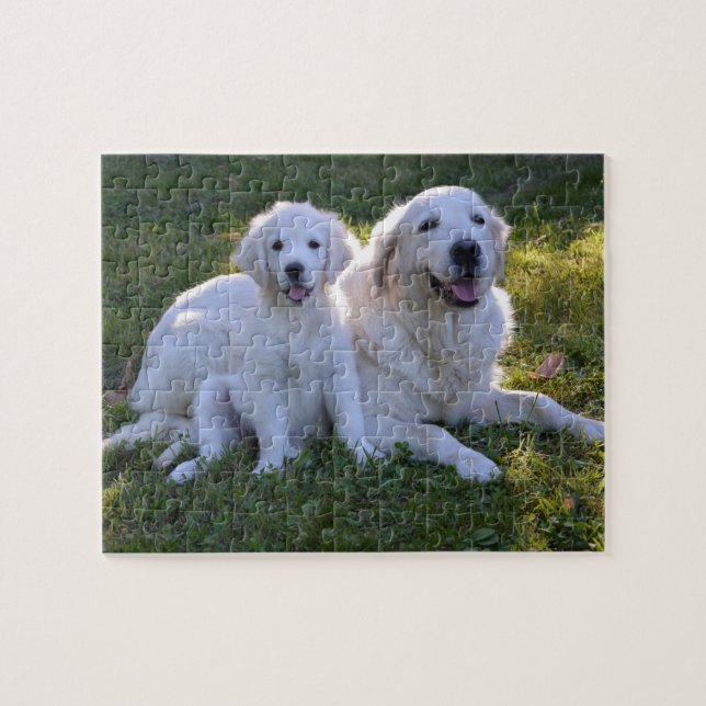 Goldene Retriever Mama und Welpe (Horizontal)