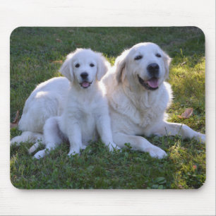 Goldene Retriever Mama und Welpe Mousepad