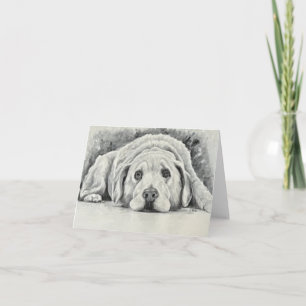 Goldene Retriever-Mitteilungskarten