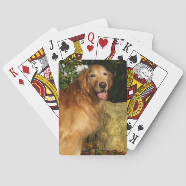 Goldene Retriever Panting Spielkarten (Rückseite)