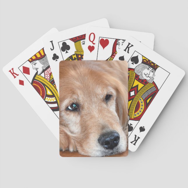 Goldene Retriever-Schließung Spielkarten (Rückseite)