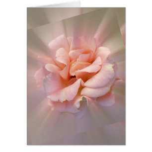 Goldene Rosa