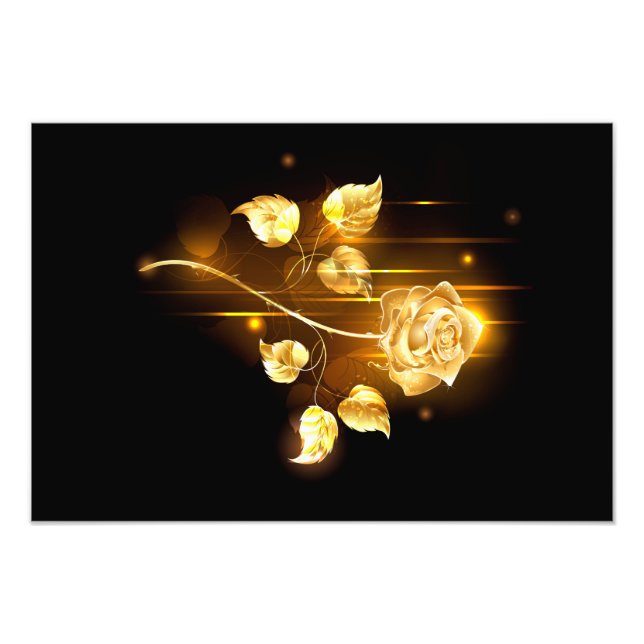 Goldene Rose (goldene Rose) Fotodruck (Vorne)