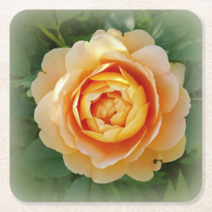 Goldene Rose Rechteckiger Pappuntersetzer