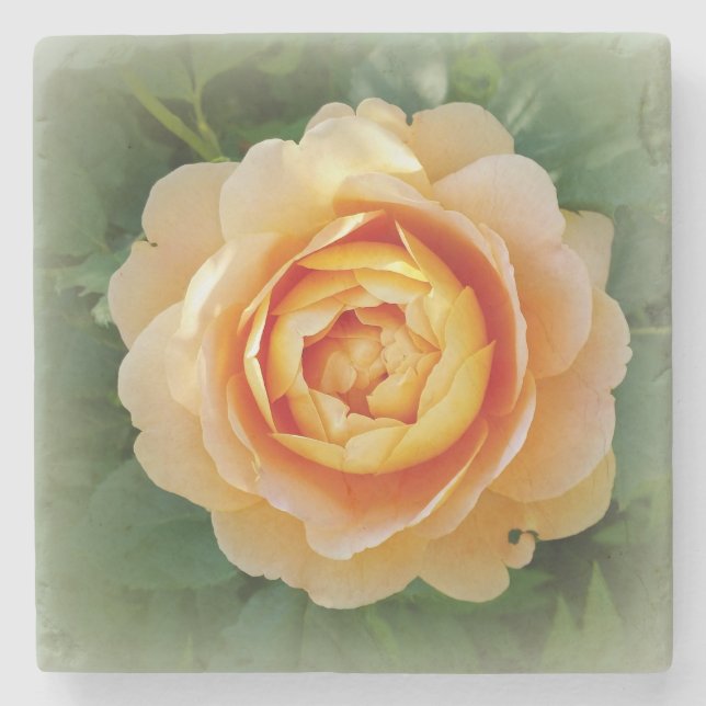 Goldene Rose Steinuntersetzer (Vorderseite)