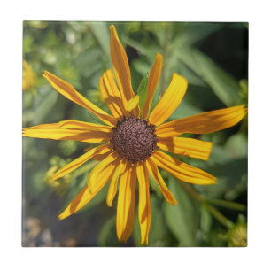 Goldene Schwarzäugige Susanne Florale Dekorative F Fliese