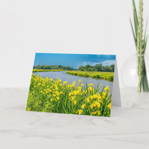 Goldene Schwertlilien inspirieren das Symbol Fleur Karte