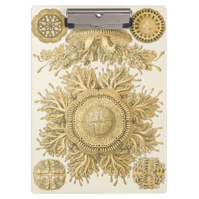 Goldene Seegeschöpfe Klemmbrett (Vorderseite)