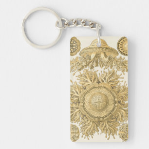 Goldene Seegeschöpfe Schlüsselanhänger