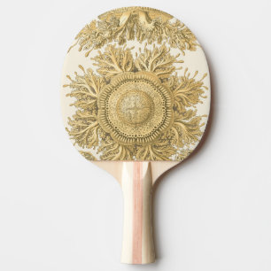 Goldene Seegeschöpfe Tischtennis Schläger