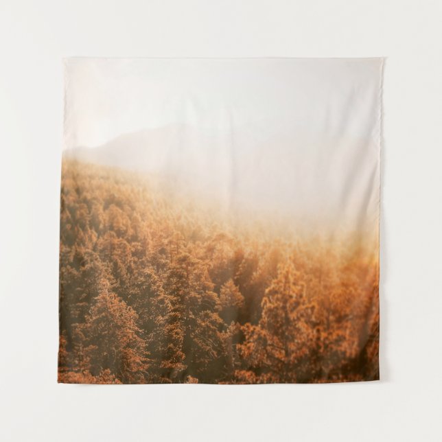 GOLDENE SONNE ÜBER EINEM WALD WANDTEPPICH (Vorderseite)