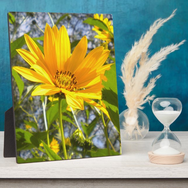 Goldene Sonnenblume Fotoplatte (Seite)