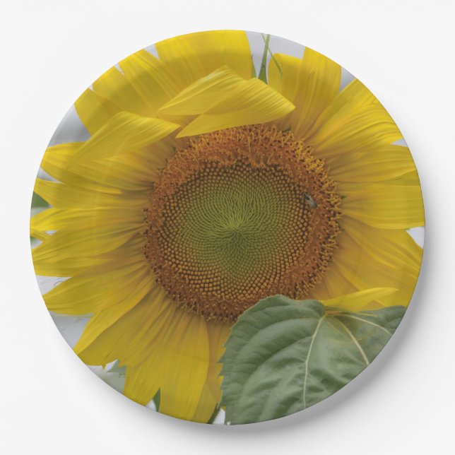 Goldene Sonnenblume Pappteller (Vorderseite)