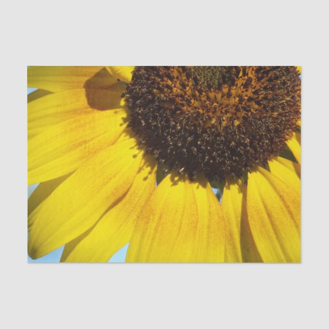 Goldene Sonnenblume Seidenpapier (Vorderseite)