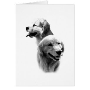 Goldene Steinkohle 2