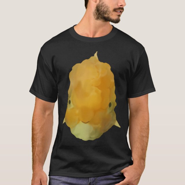 Goldene T-Shirt (Vorderseite)