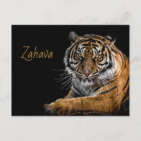 Goldene Tiger-Eintrittskarte