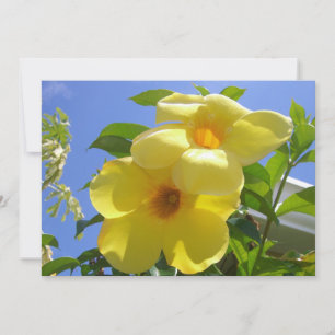 Goldene Trompetenblumen I Karte