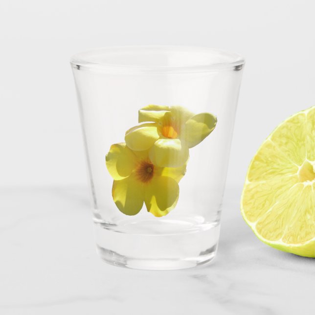 Goldene Trumpet-Blume I Schnapsglas (Vorderseite)