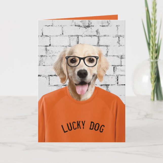 Goldene Vergeltung in T - Shirt Karte (Vorderseite)