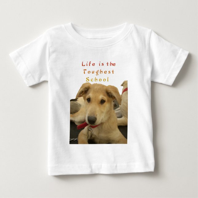 Goldene Weisheit: Ein Hund-Augen-Blick auf die Sch Baby T-shirt (Vorderseite)