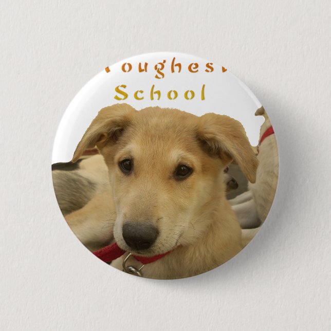 Goldene Weisheit: Ein Hund-Augen-Blick auf die Sch Button (Vorderseite)