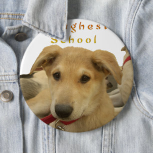 Goldene Weisheit: Ein Hund-Augen-Blick auf die Sch Button