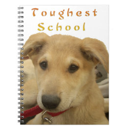 Goldene Weisheit: Ein Hund-Augen-Blick auf die Sch Notizblock