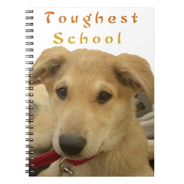 Goldene Weisheit: Ein Hund-Augen-Blick auf die Sch Notizblock (Vorderseite)