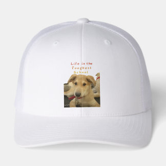 Goldene Weisheit: Ein Hund-Augen-Blick auf die Sch Truckerkappe