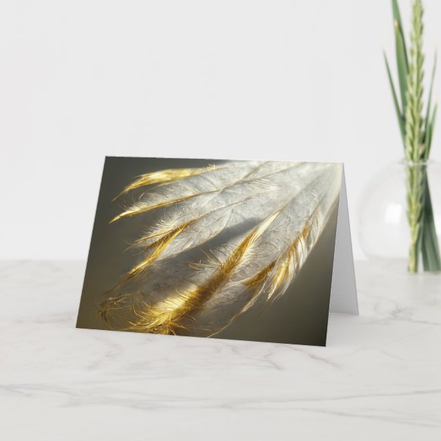 Goldene weiße Federn Karte (Vorderseite)