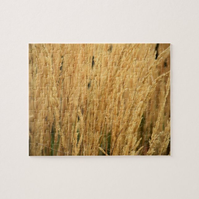 Goldene Weizenfelder - 8x10 - 110 Stk. (Horizontal)