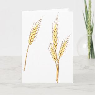 Goldene Weizenhalme Farm Ernte Getreide Karte