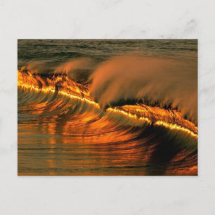 Goldene Welle bei Sonnenuntergang, Mexiko Postkarte