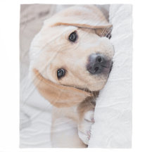 goldene Welpe Labrador-Decke