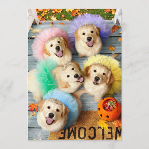 Goldene Welpen beim Trick-or-Treaten Einladung