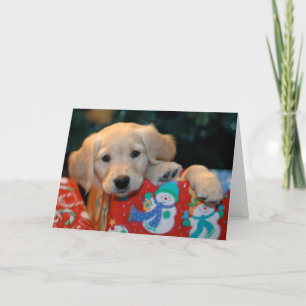 Goldene Welpen-Geschenk-Weihnachtskarte Feiertagskarte