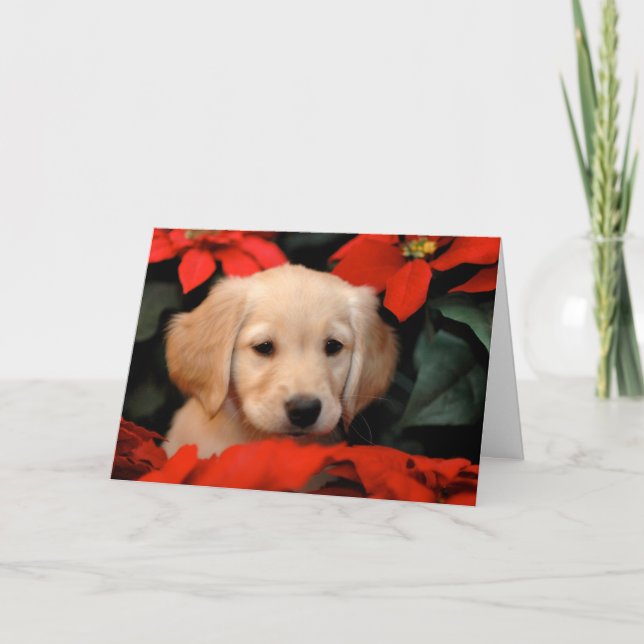 Goldene Welpen-und Poinsetta Weihnachtskarte Feiertagskarte (Vorderseite)