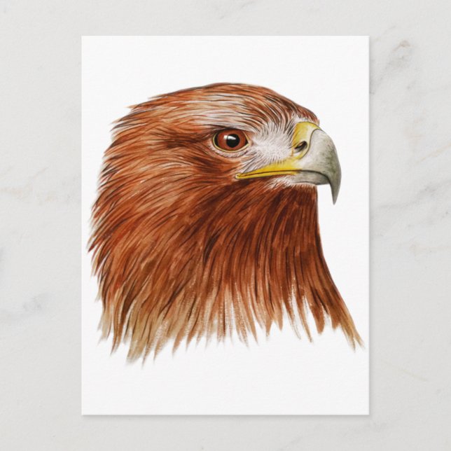 Goldener Adler 2011 Postkarte (Vorderseite)