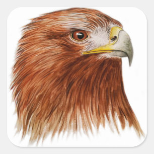 Goldener Adler 2011 Quadratischer Aufkleber