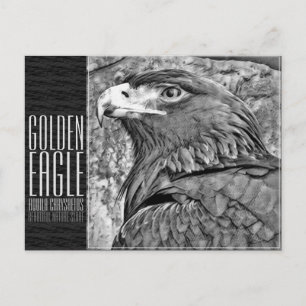 Goldener Adler [Postkarte] Postkarte