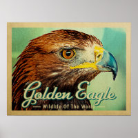 Goldener Adler - Wildnis des Weltvogels
