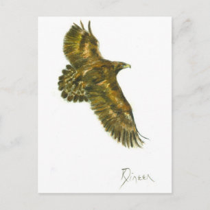 Goldener Adler Wille Wille Postkarte