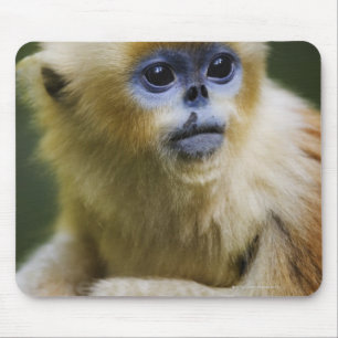 Goldener Affe Mousepad