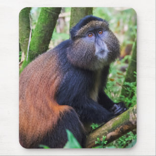 Goldener Affe, Ruanda Mousepad
